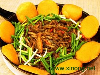 锅贴饼子 
