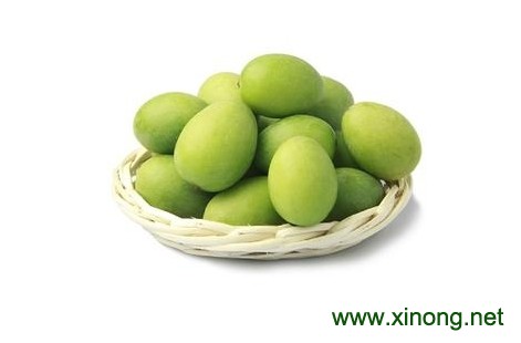 福州橄榄