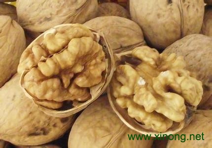 鸡爪绵核桃