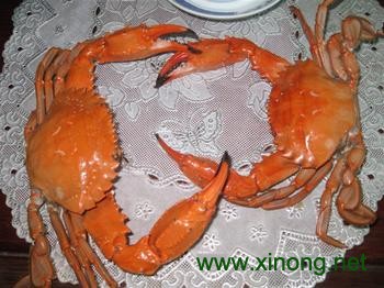 盘锦河蟹