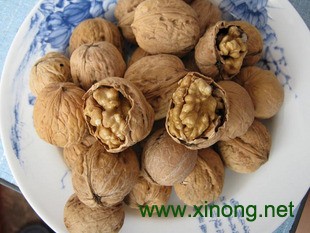 涉县核桃