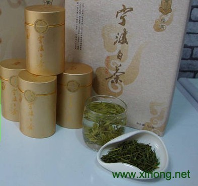 宁波白茶