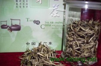 丹霞雪芽白茶