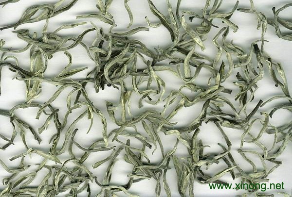 南山白毛茶