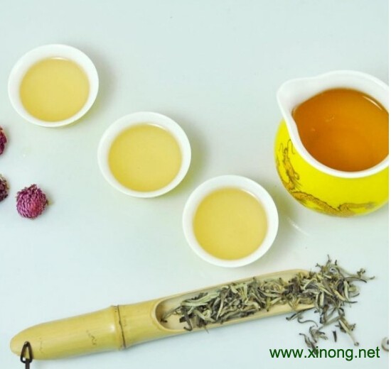 西宁特产大黄茶