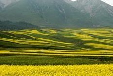 海北景点和特产推荐