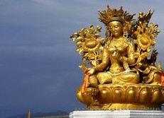 黄南名优特产推荐
