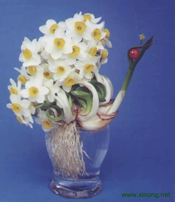 水仙花
