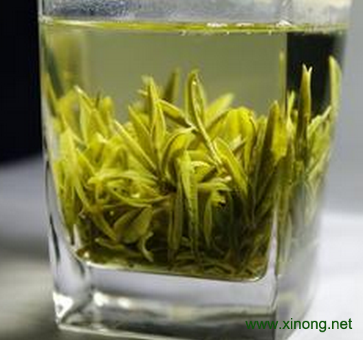 桐城小花