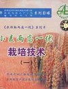 《小麦两高一优栽培技术》