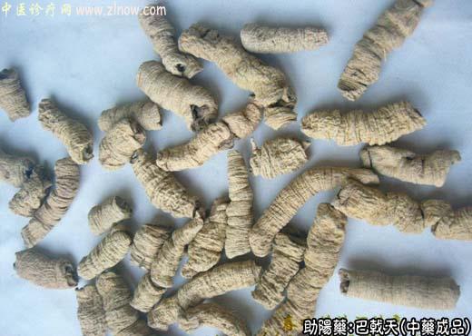 巴戟天的中药成品图片