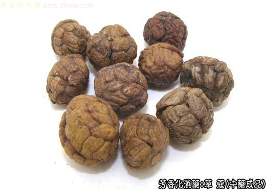 草蔻的中药成品图片