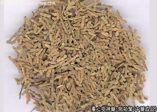 侧柏叶的中药成品图片