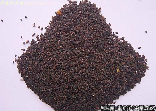 车前子的中药成品图片