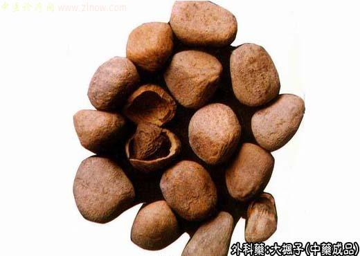 大枫子的中药成品图片