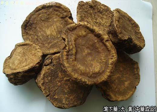 大黄的中药成品图片
