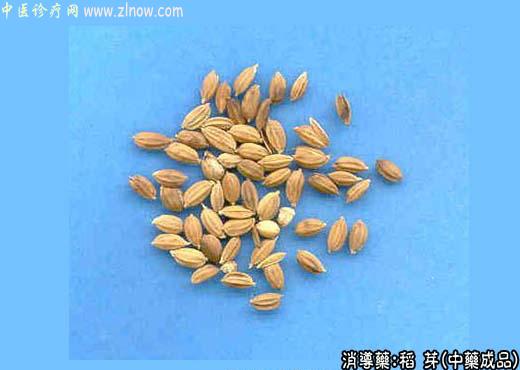 稻芽的中药成品图片