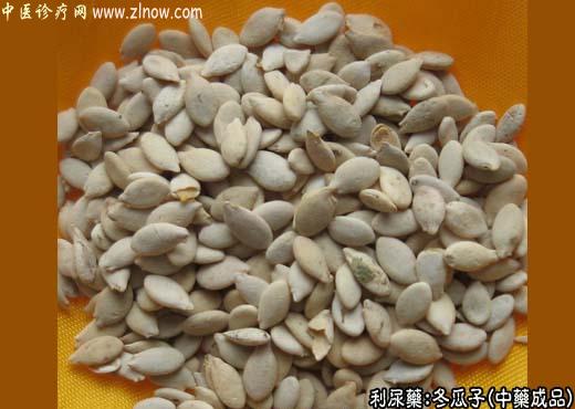 冬瓜子的中药成品图片
