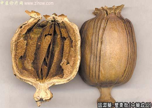 罂粟壳