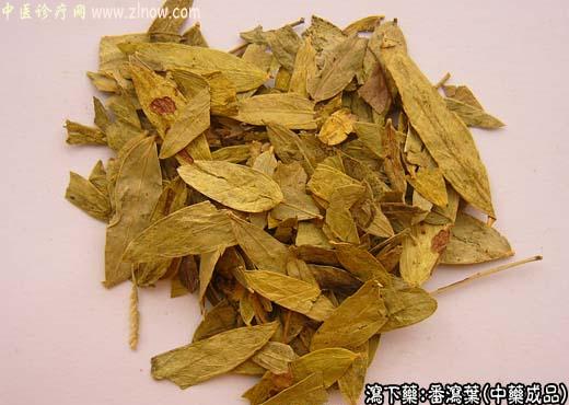 番泻叶的中药成品图片
