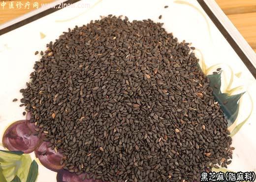 【中医诊疗网】:黑芝麻