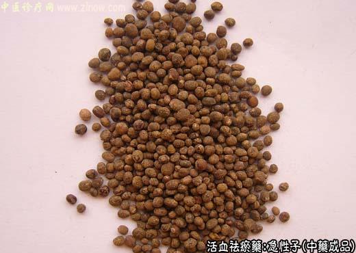 急性子的中药成品图片