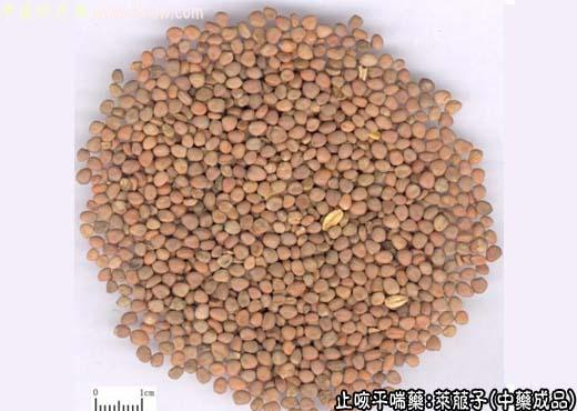 莱菔子的中药成品图片