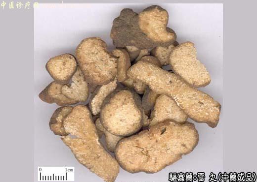 雷丸的中药成品图片