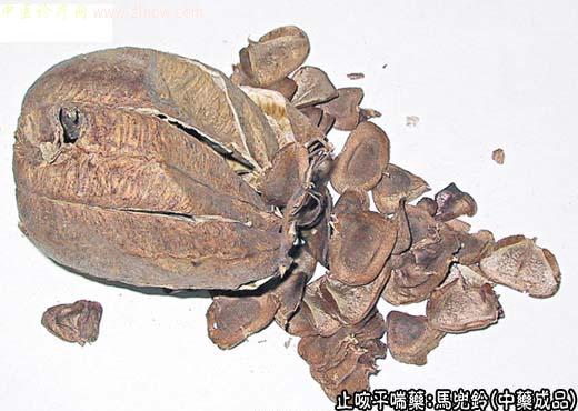 马兜铃的中药成品图片