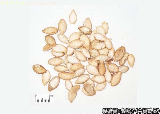 南瓜子的中药成品图片