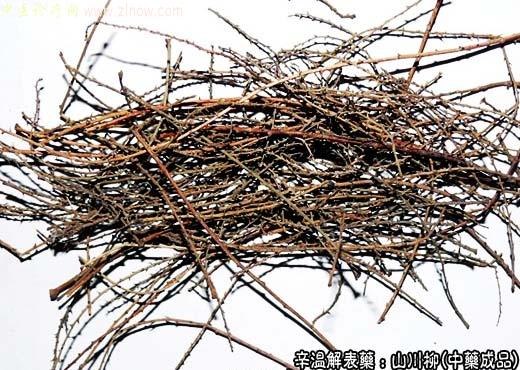 山川柳的中药成品图片