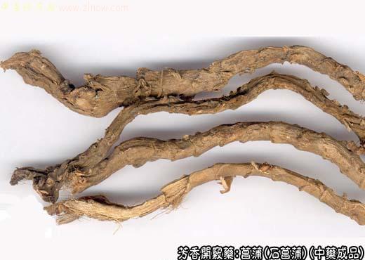 菖蒲的中药成品图片