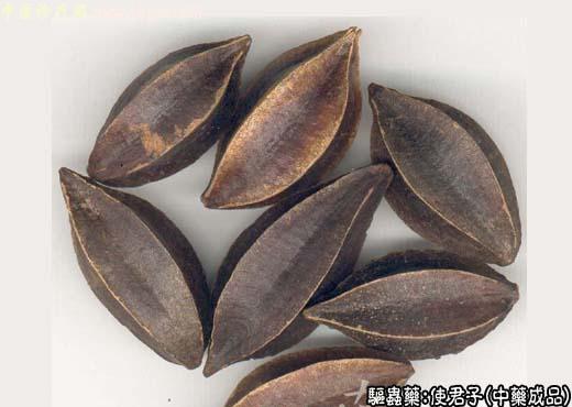 使君子的中药成品图片