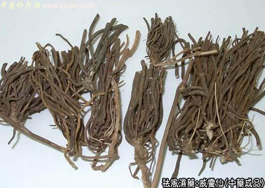 威灵仙的中药成品图片