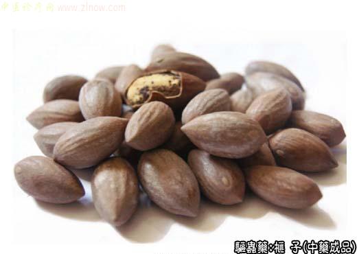 榧子的中药成品图片