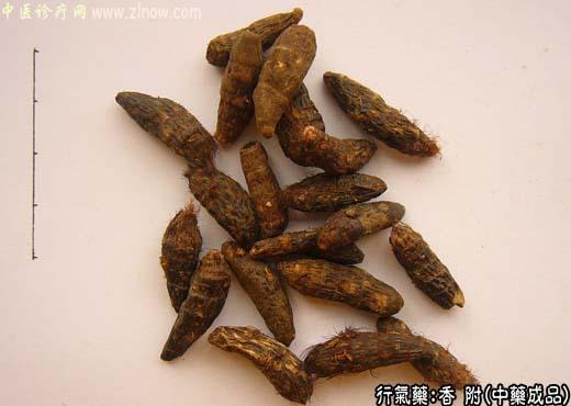 香附的中药成品图片