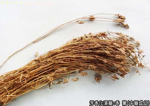 香薷的中药成品图片