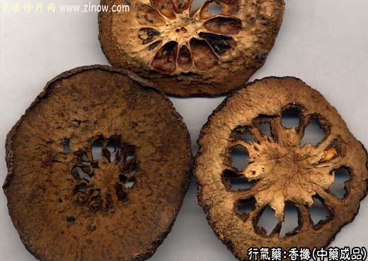 中药材：香橼中药成品