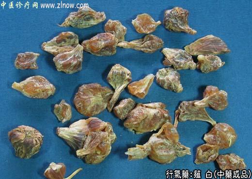 薤白的中药成品图片