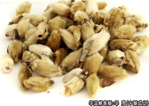 辛夷的中药成品图片