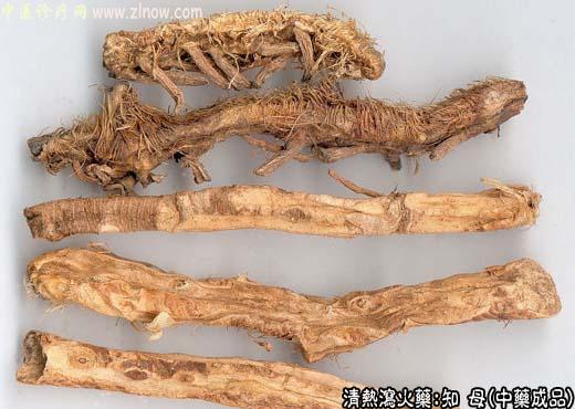 知母的中药成品图片