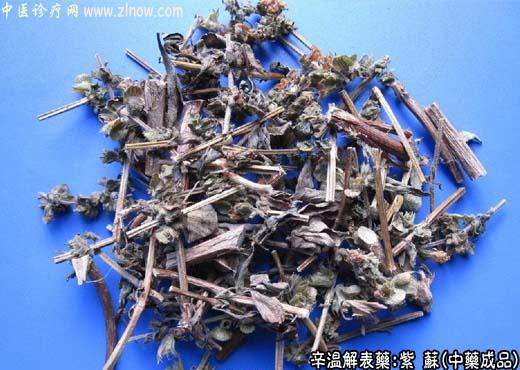 紫苏的中药成品图片